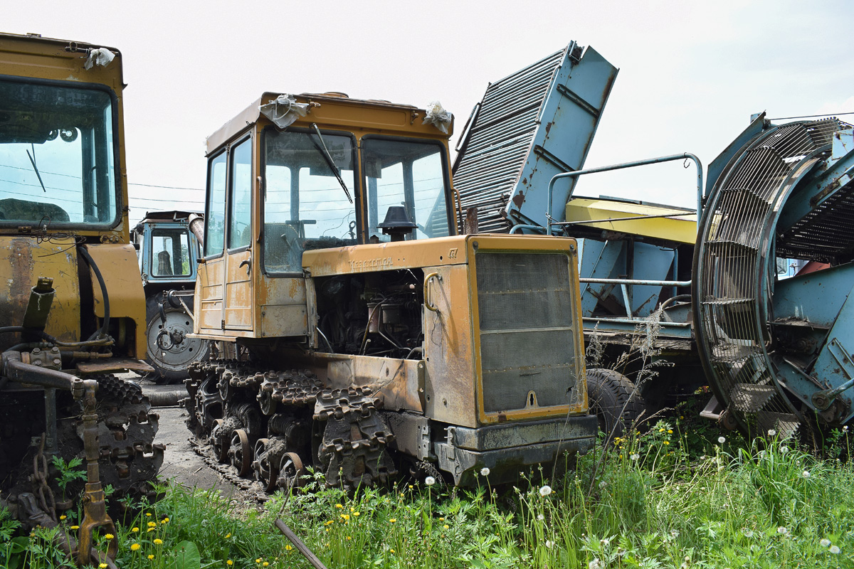 Алтайский край, № 8655 ЕА 22 — ДТ-75МЛ/Т (общая модель)