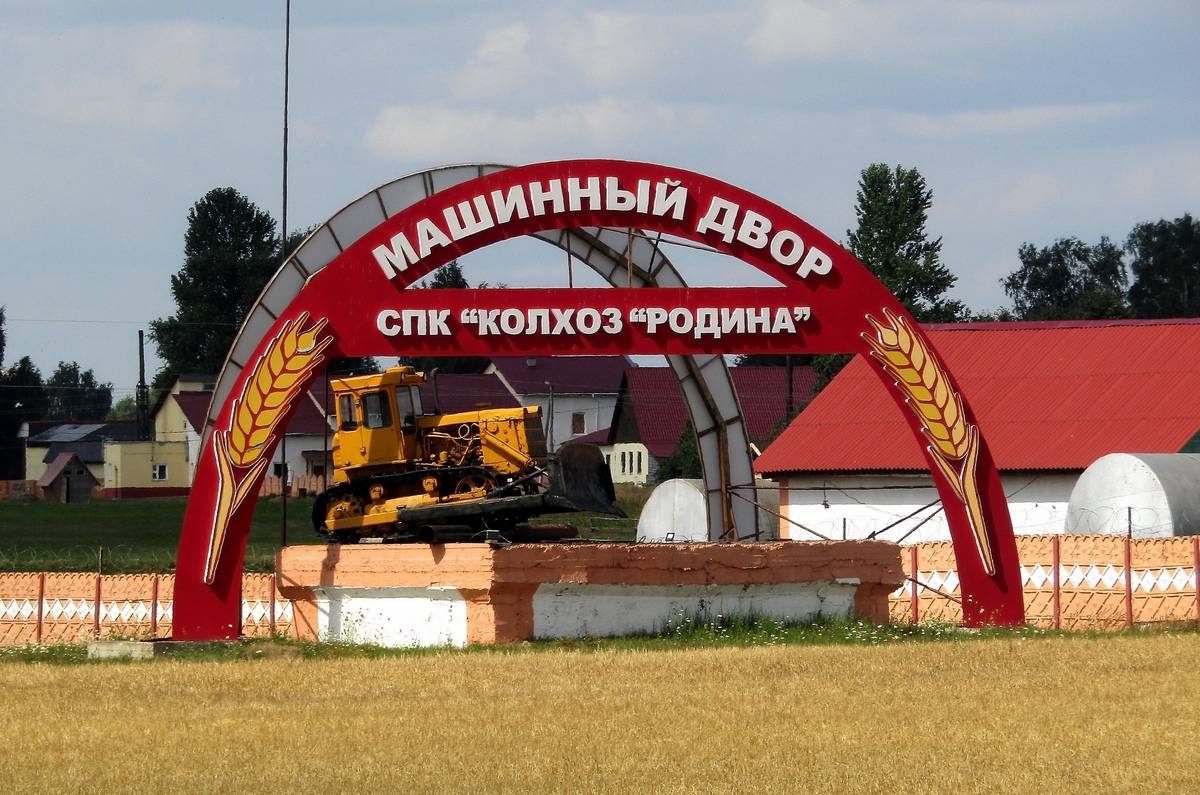 Могилёвская область, № (BY-6) Б/Н СТ 0168 — Т-130/170 (общая модель); Техника на постаментах, памятники (Могилёвская область); Транспортные средства без номеров (Могилёвская область)