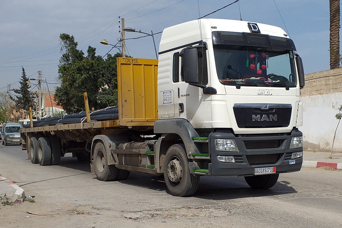 Алжир, № 00318 517 31 — MAN TGS 19.440