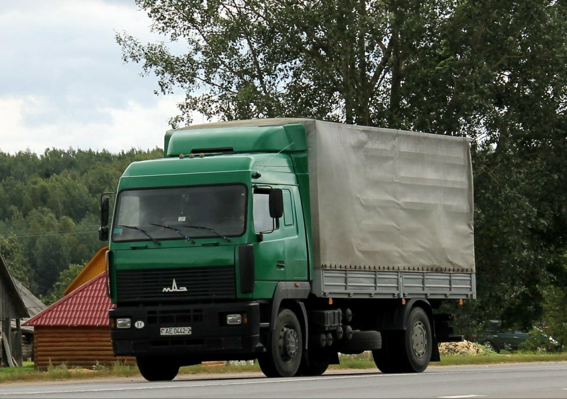 Витебская область, № АЕ 0442-2 — МАЗ (общая модель)