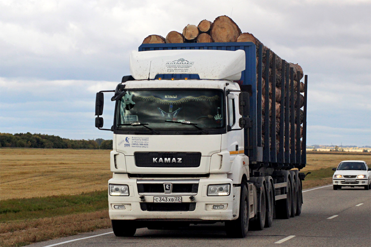 Алтайский край, № С 343 ХВ 22 — КамАЗ-65206-T5(68)