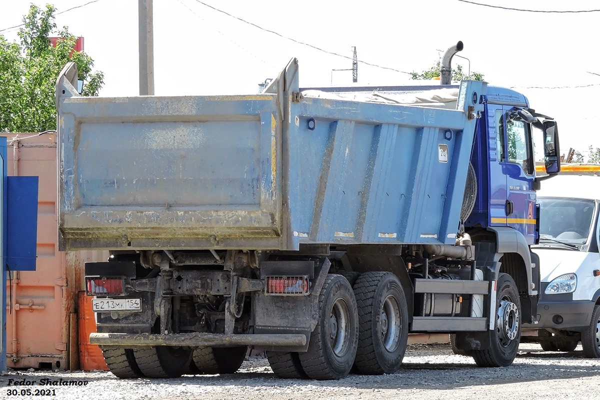 Новосибирская область, № Е 213 МК 154 — MAN TGS 33.360