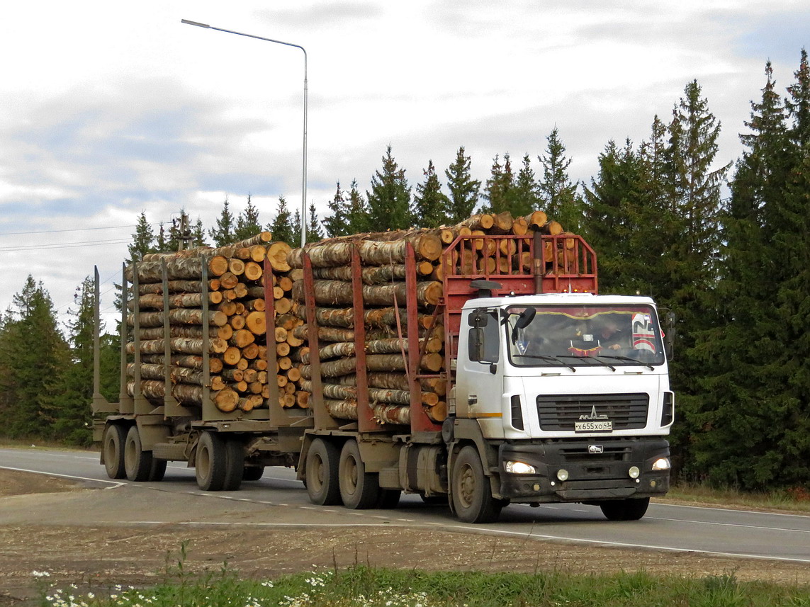 Кировская область, № Х 655 ХО 43 — МАЗ-6312B9
