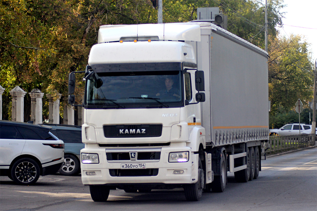 Новосибирская область, № К 360 УО 154 — КамАЗ-5490-S5(87)