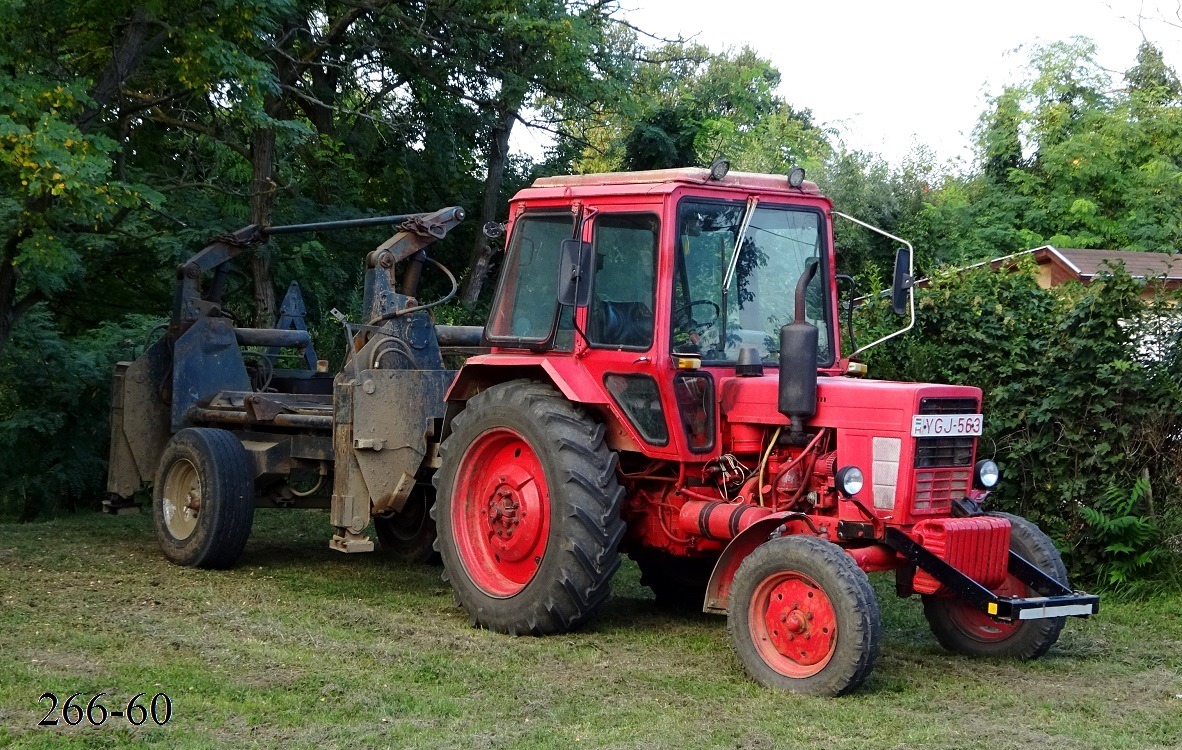 Венгрия, № YGJ-563 — МТЗ-80; Венгрия — Сбор винограда в Венгрии
