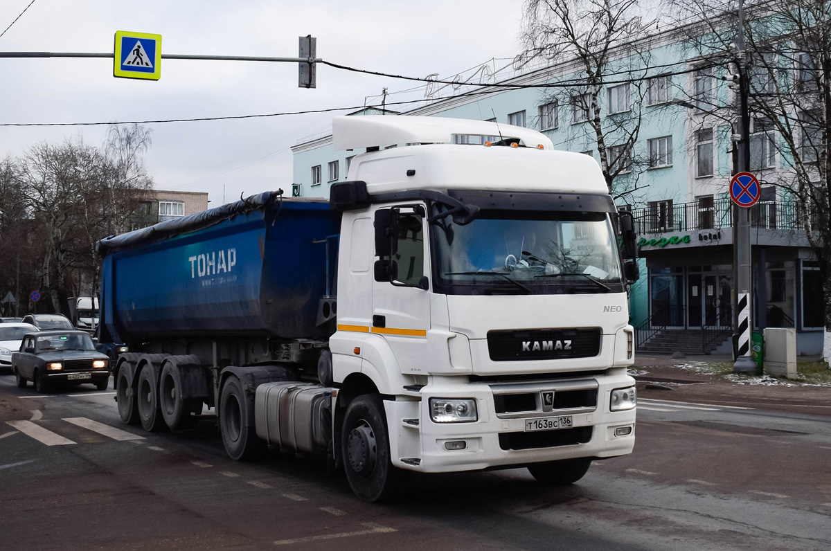 Воронежская область, № Т 163 ВС 136 — КамАЗ-5490-S5(87)