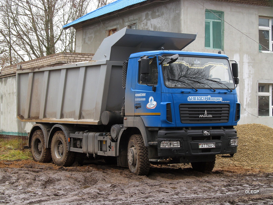 Витебская область, № АТ 7944-7 — МАЗ-650128