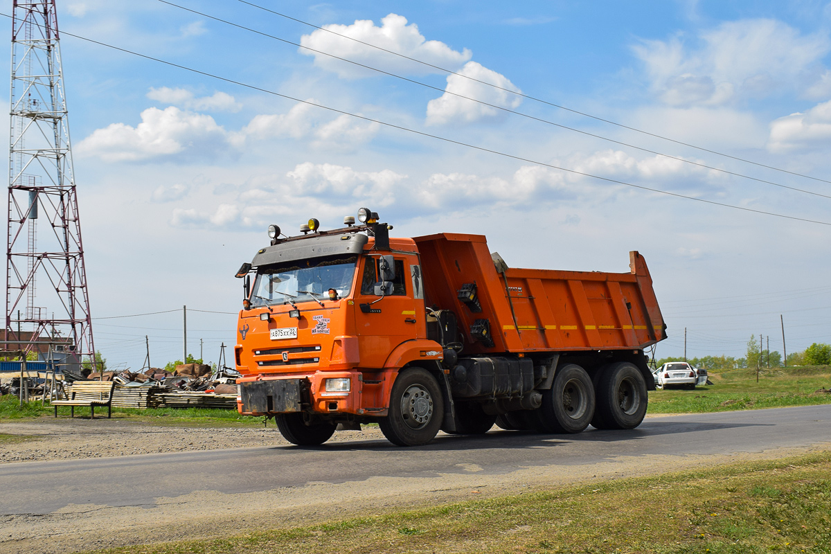 Алтайский край, № А 875 ХХ 22 — КамАЗ-65115-L4(19)