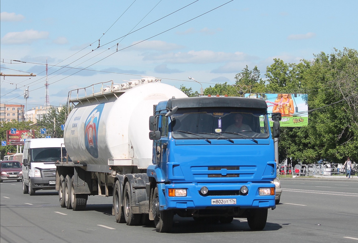 Челябинская область, № М 802 ОТ 174 — КамАЗ-65116-N3(78)