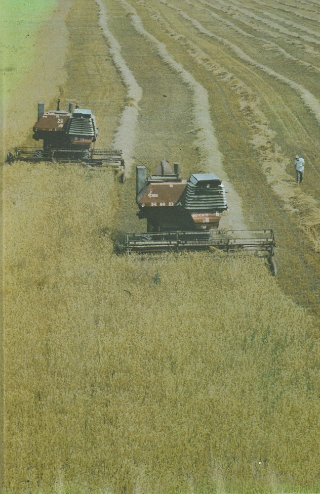 Исторические фотографии (до 2000 года) (Львовская область)