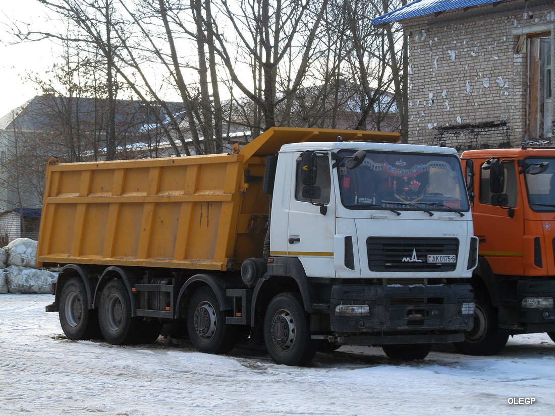 Могилёвская область, № АК 0175-6 — МАЗ-6516B9