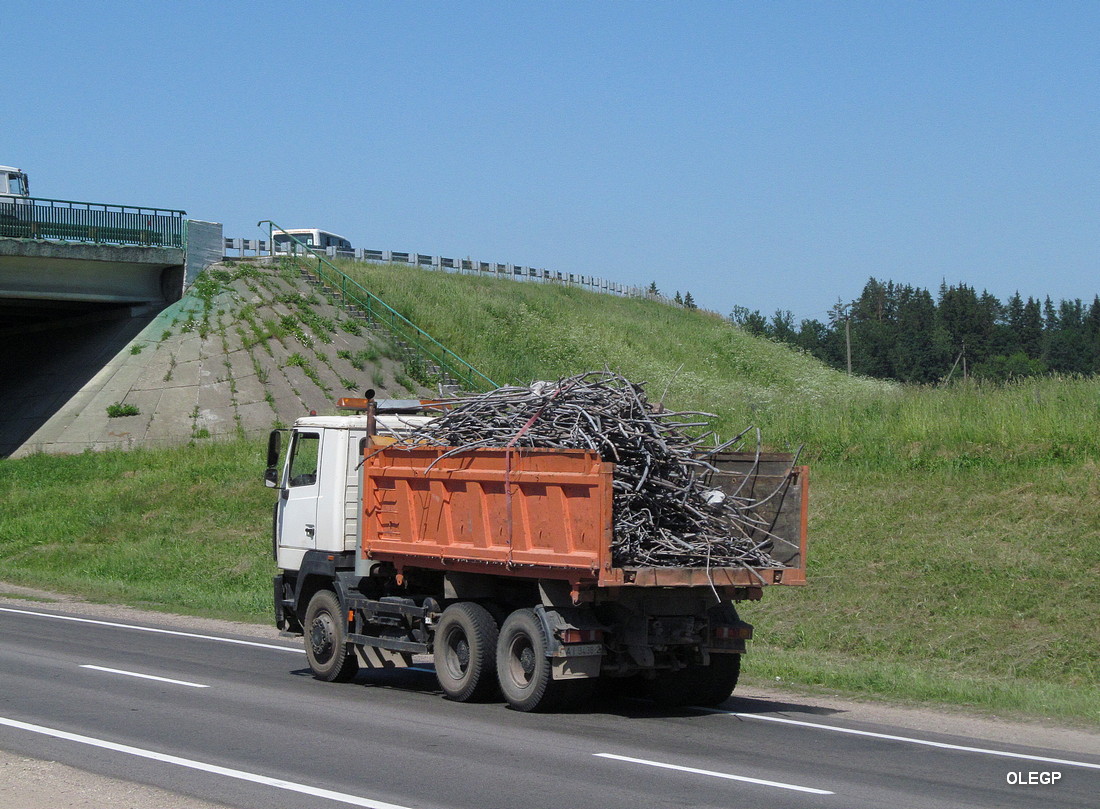Витебская область, № АІ 3438-2 — МАЗ-6501 (общая модель)
