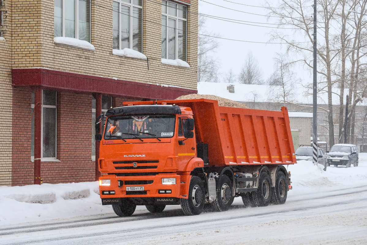 Архангельская область, № Е 100 УТ 29 — КамАЗ-65201-B5(49)