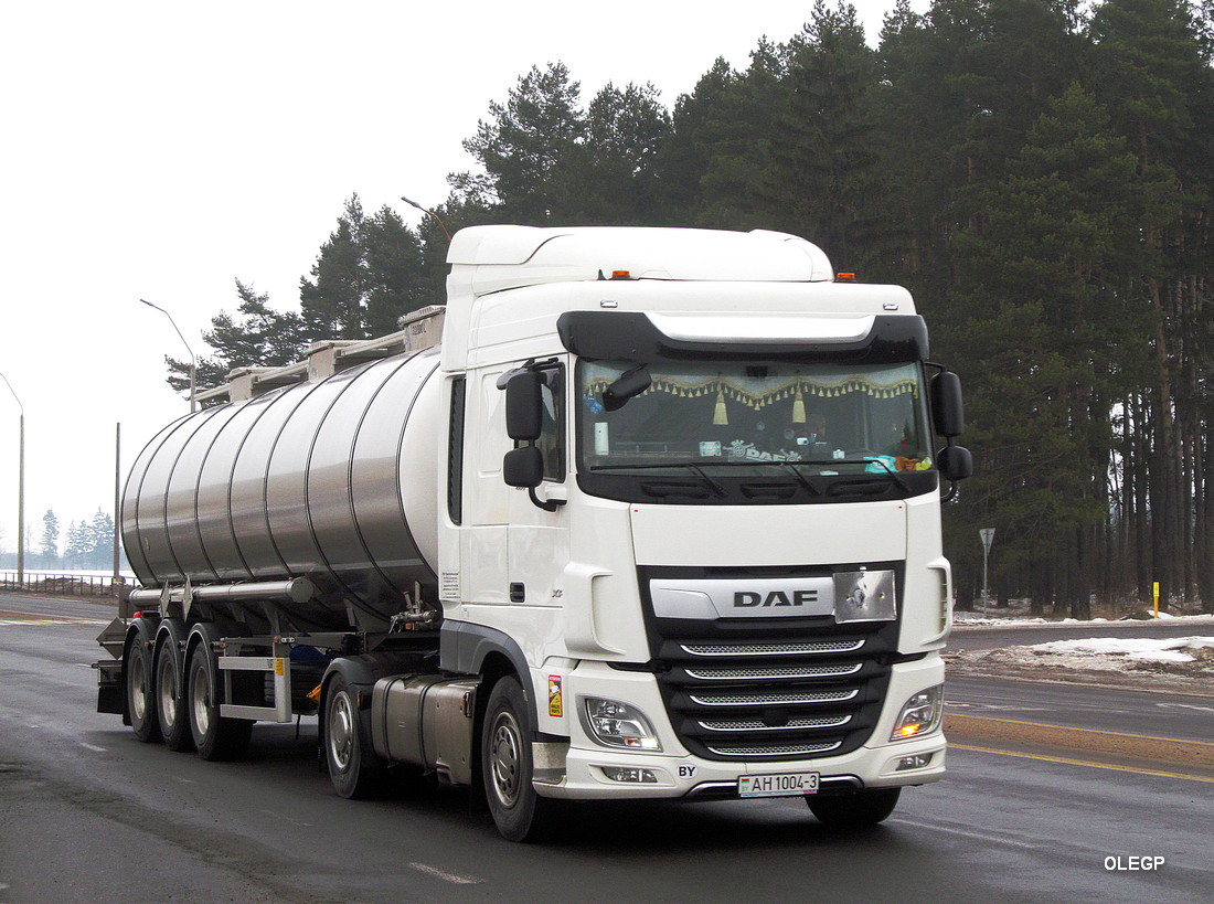 Гомельская область, № АН 1004-3 — DAF XF Euro6 FT