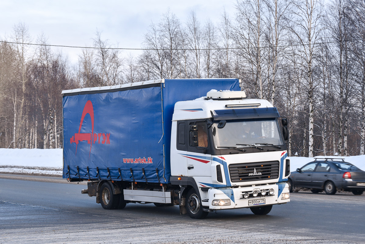 Архангельская область, № М 800 АК 29 — МАЗ-4371W1