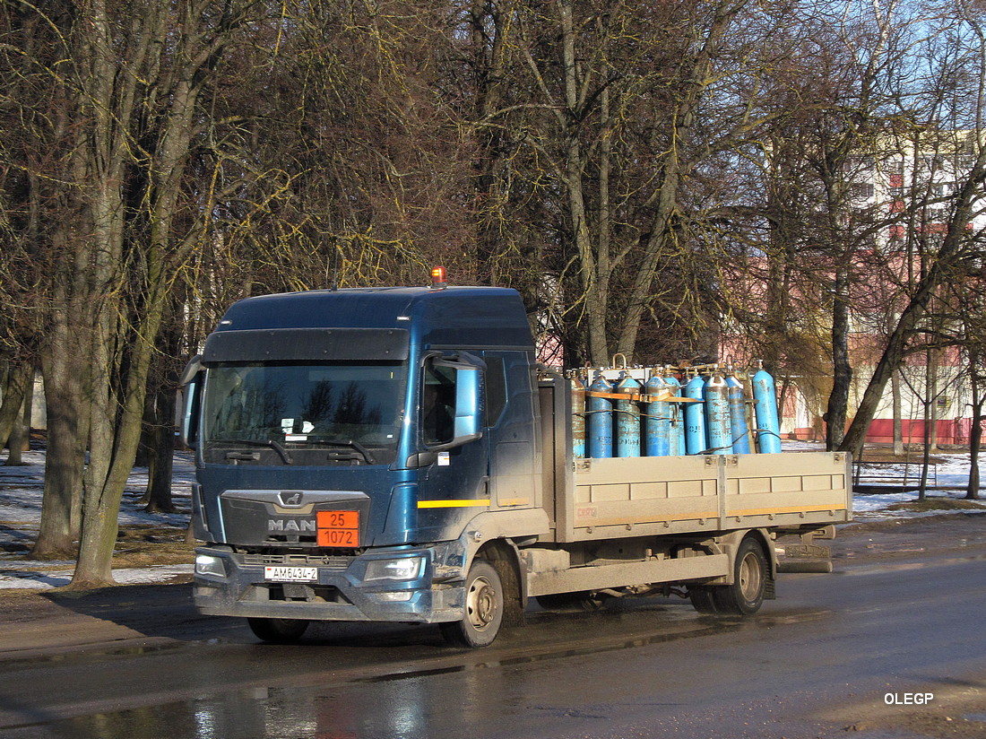 Витебская область, № АМ 6434-2 — MAN TGL (общая модель)