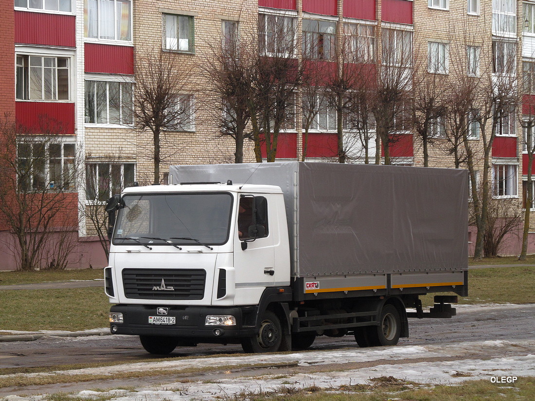 Витебская область, № АМ 6418-2 — МАЗ-4371 (общая модель)