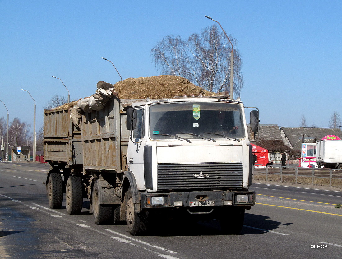 Могилёвская область, № АІ 3319-6 — МАЗ-5551 (общая модель)