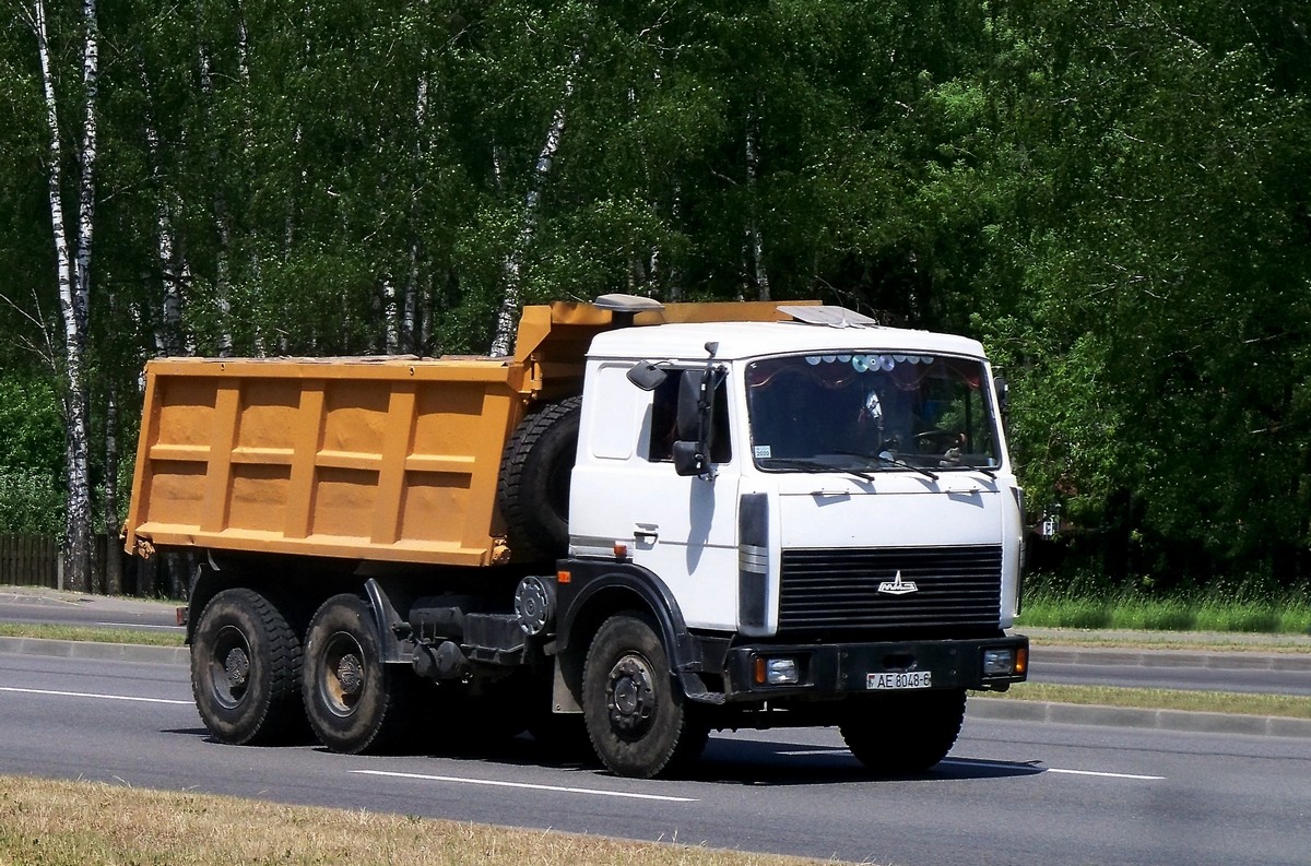 Могилёвская область, № АЕ 8048-6 — МАЗ-5516 (общая модель)
