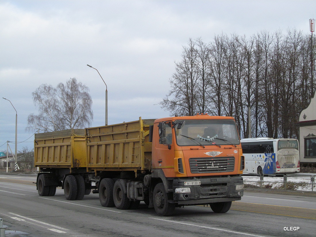 Витебская область, № АІ 8130-2 — МАЗ-6501 (общая модель)
