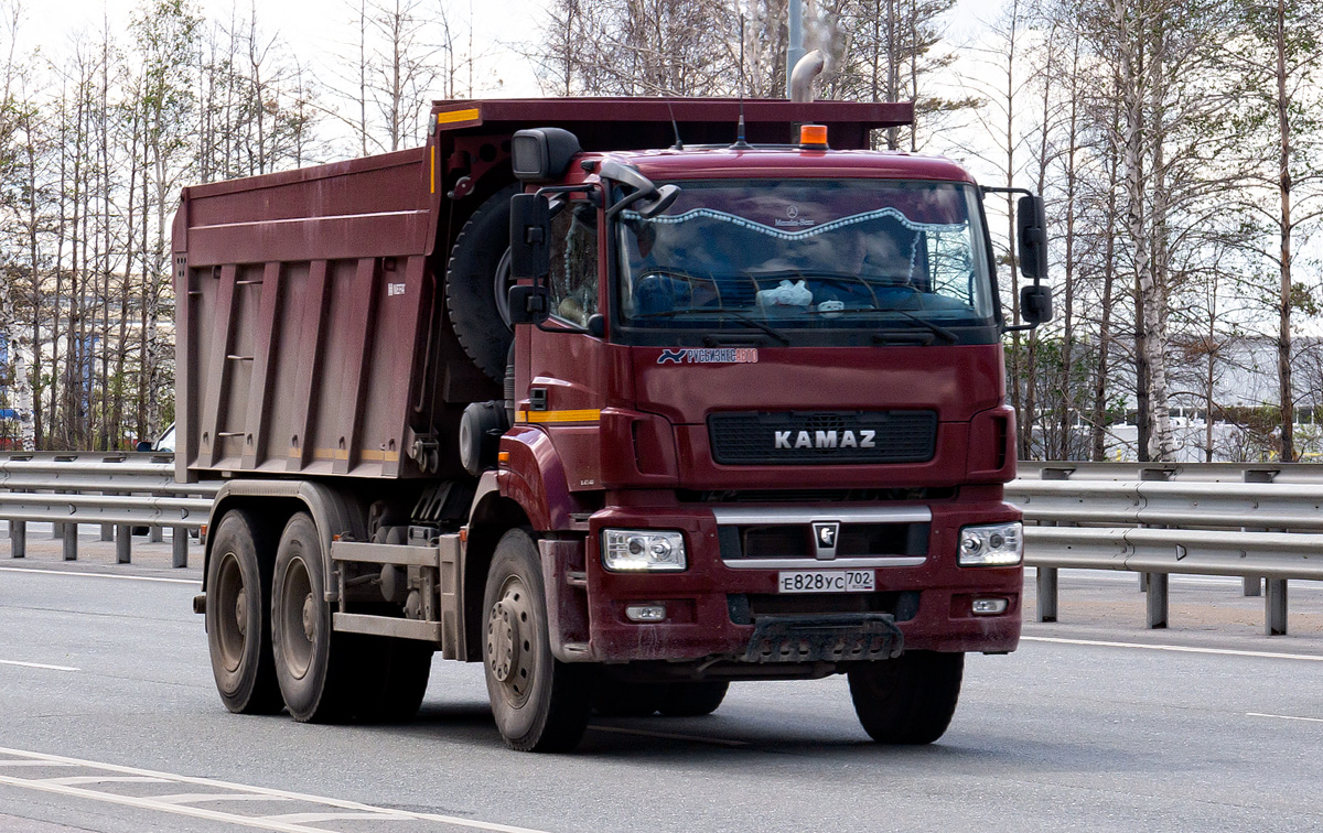 Башкортостан, № Е 828 УС 702 — КамАЗ-6580-S5(87)