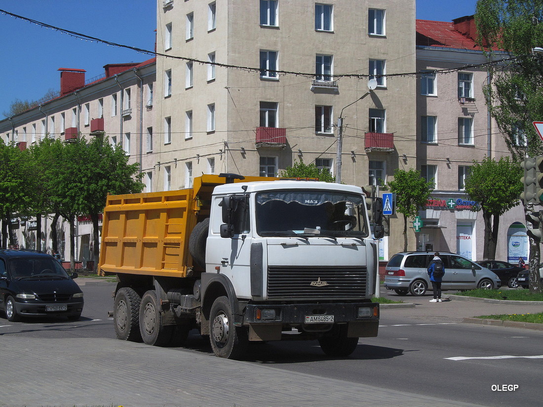 Витебская область, № АМ 6485-2 — МАЗ-5516 (общая модель)