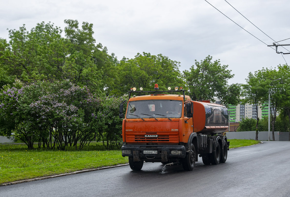 Башкортостан, № М 666 МР 102 — КамАЗ-65115-N3(78)