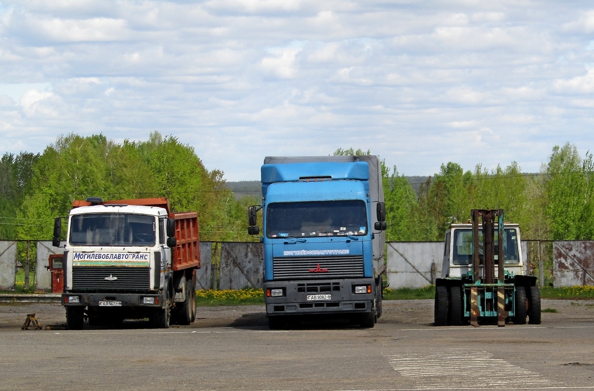 Могилёвская область, № АА 9423-6 — МАЗ-5516 (общая модель); Могилёвская область, № 13270 — МАЗ-5440A8; Могилёвская область, № (BY-6) Б/Н СТ 0146 — АП-4045