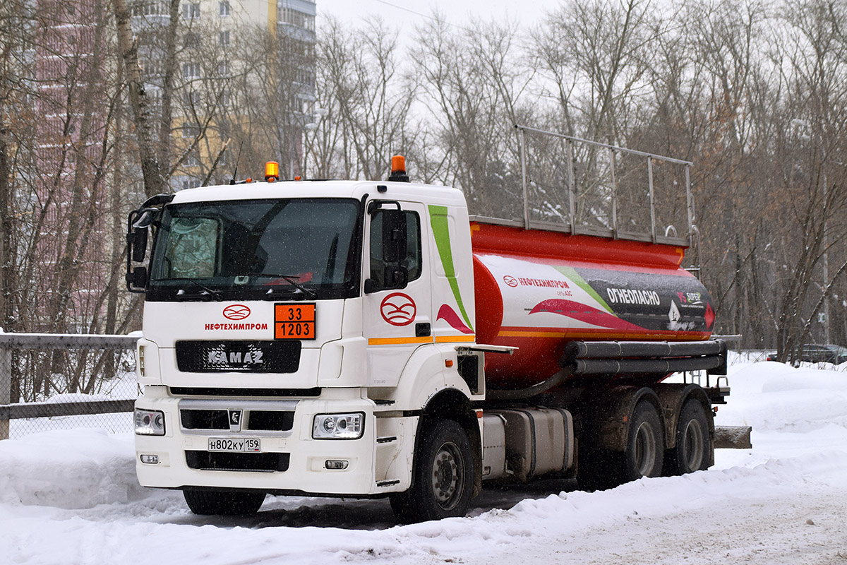 Пермский край, № Н 802 КУ 159 — КамАЗ-65207-S5(87)