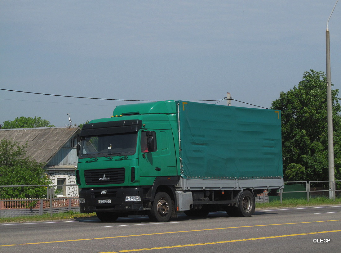 Витебская область, № АК 9447-3 — МАЗ-5340E9