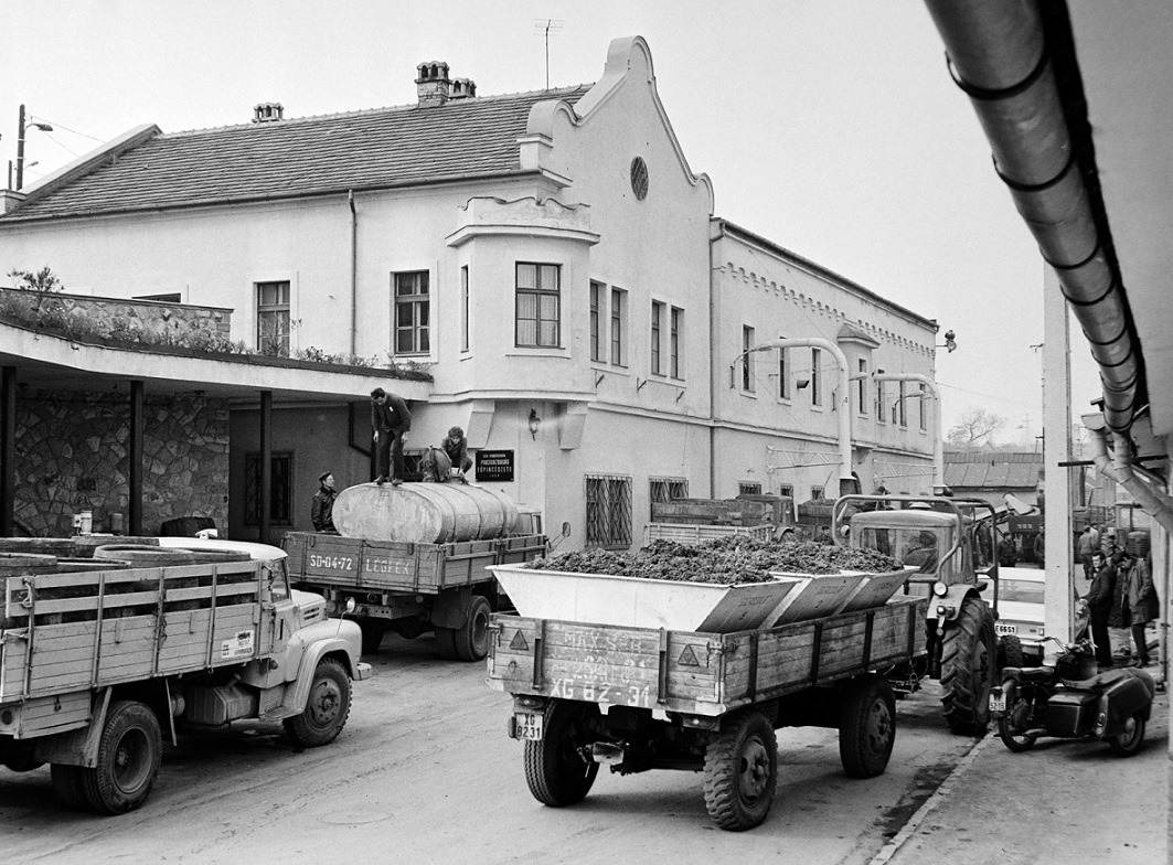 Венгрия, № XG-82-31 —  Модель неизвестна; Венгрия — Сбор винограда в Венгрии; Исторические фотографии (до 2000 года) (Венгрия)