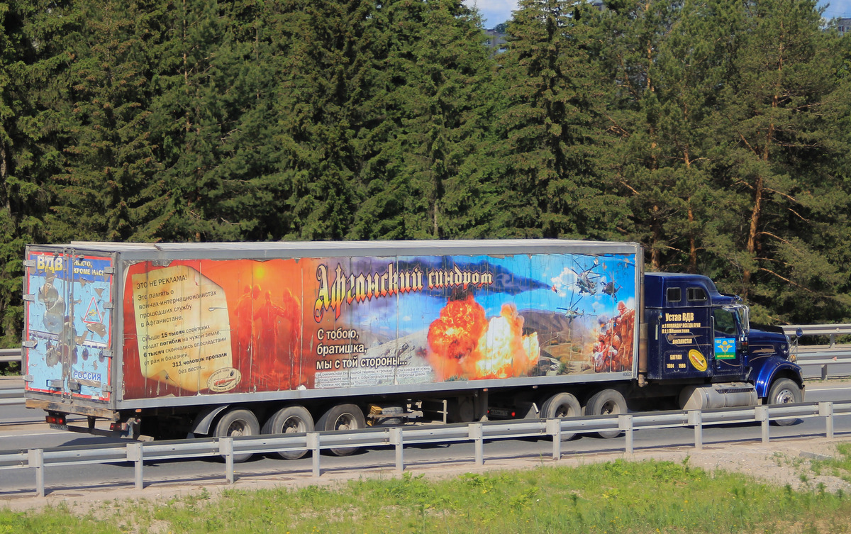 Пермский край, № АН 4982 59 — Schmitz Cargobull S.KO (SCB*S3B) общ.мод