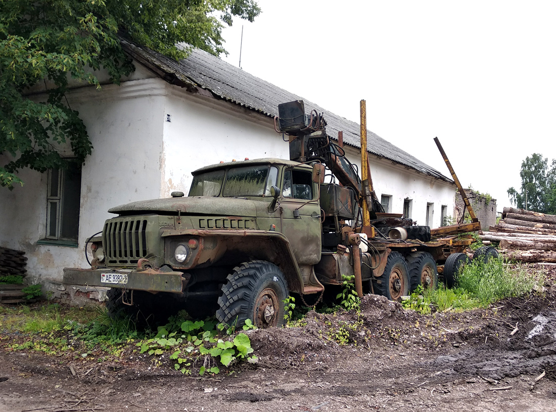 Витебская область, № АЕ 8382-2 — Урал-4320 / 5557 (общая модель)