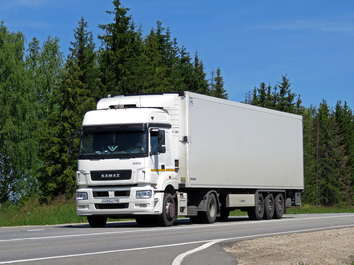 Санкт-Петербург, № О 493 НС 198 — КамАЗ-5490-S5(87)