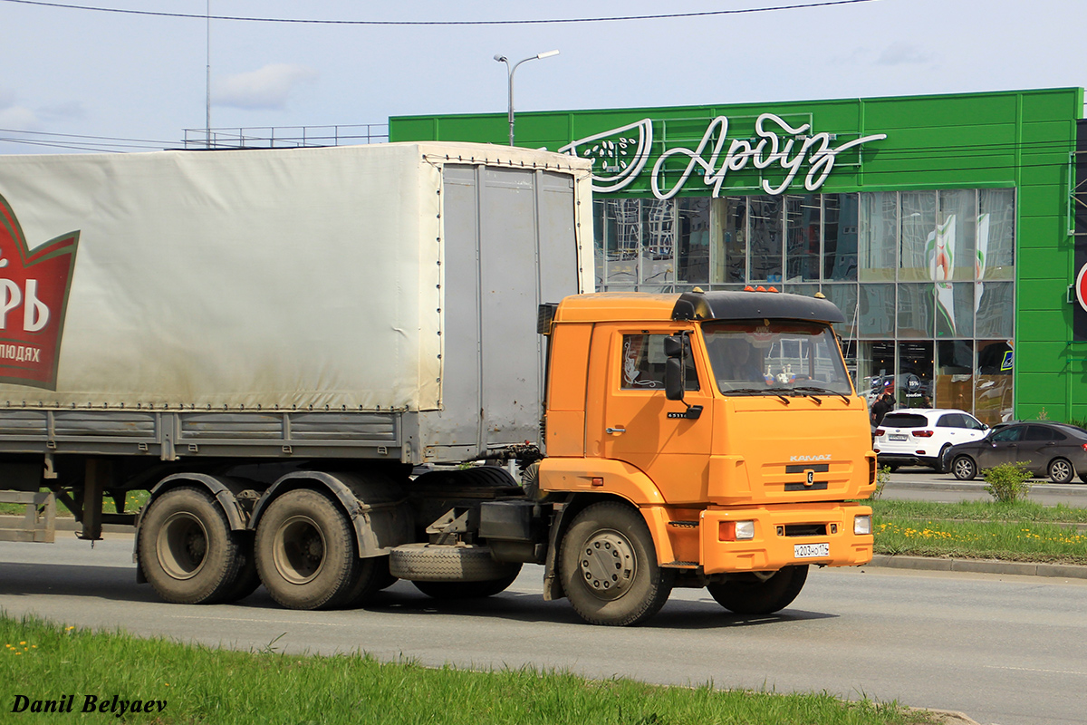 Челябинская область, № Х 203 НО 174 — КамАЗ-65116-N3(78)