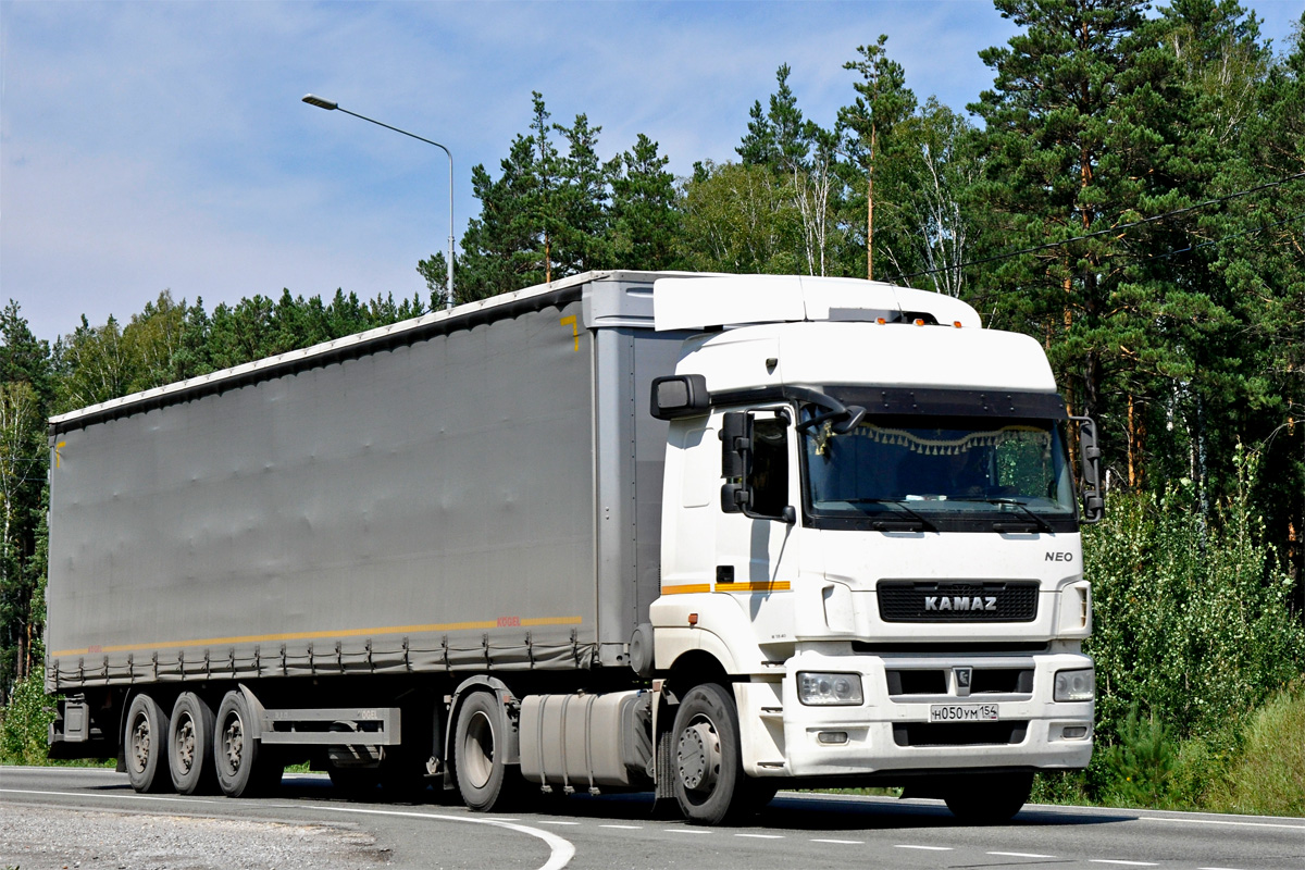 Новосибирская область, № Н 050 УМ 154 — КамАЗ-5490-S5(87)