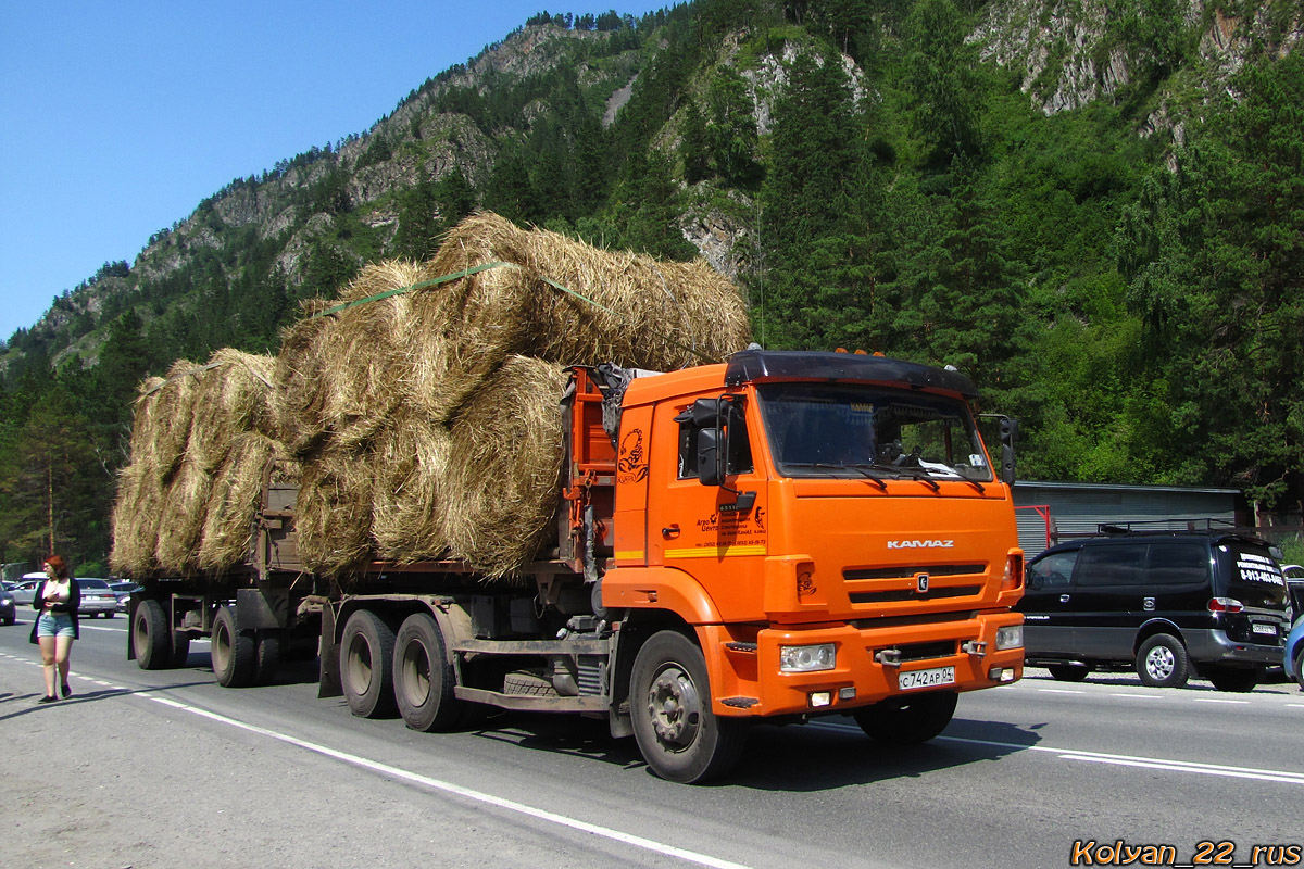 Алтай, № С 742 АР 04 — КамАЗ-65115-A4(23)