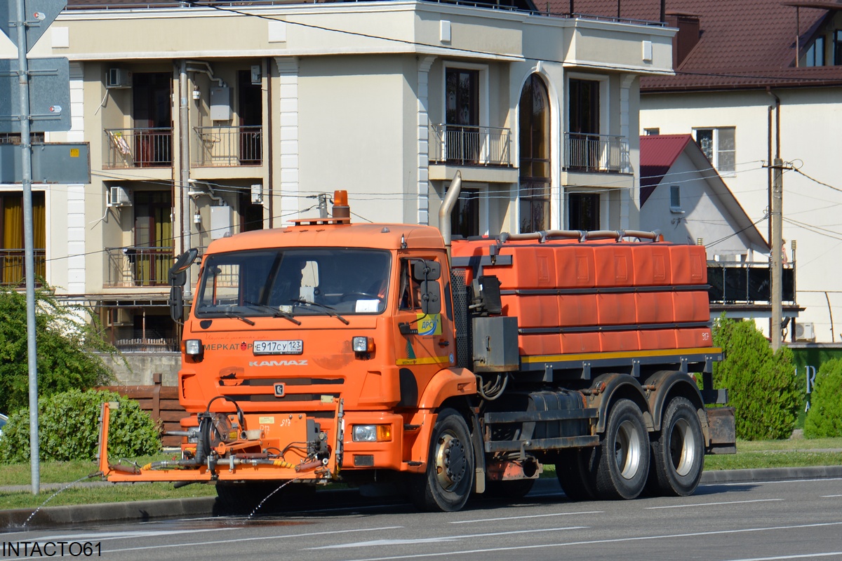 Краснодарский край, № Е 917 СУ 123 — КамАЗ-65115-L4(19)
