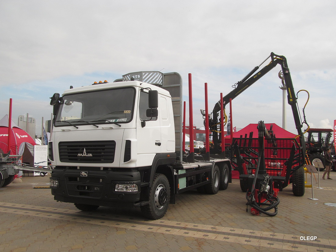 Минск, № ІІ ВР 3340 — МАЗ-631228; Минск — Выставка "Лесдревтех-2022"