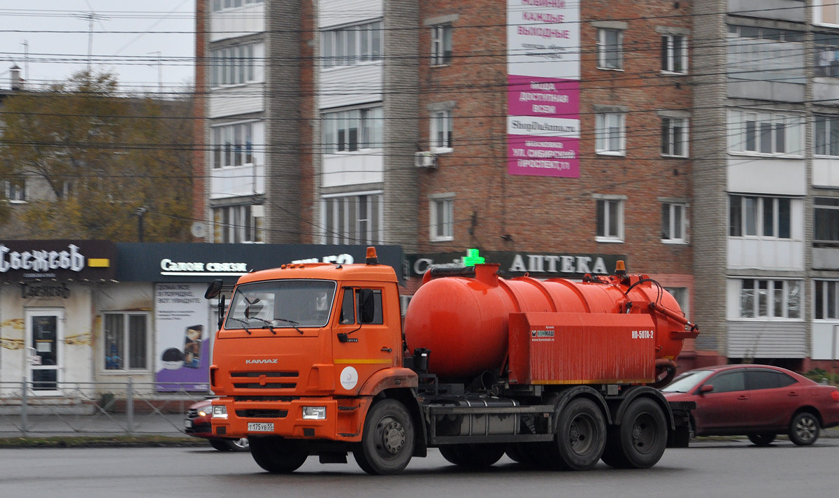 Омская область, № Т 175 УВ 55 — КамАЗ-65115-L4(19)
