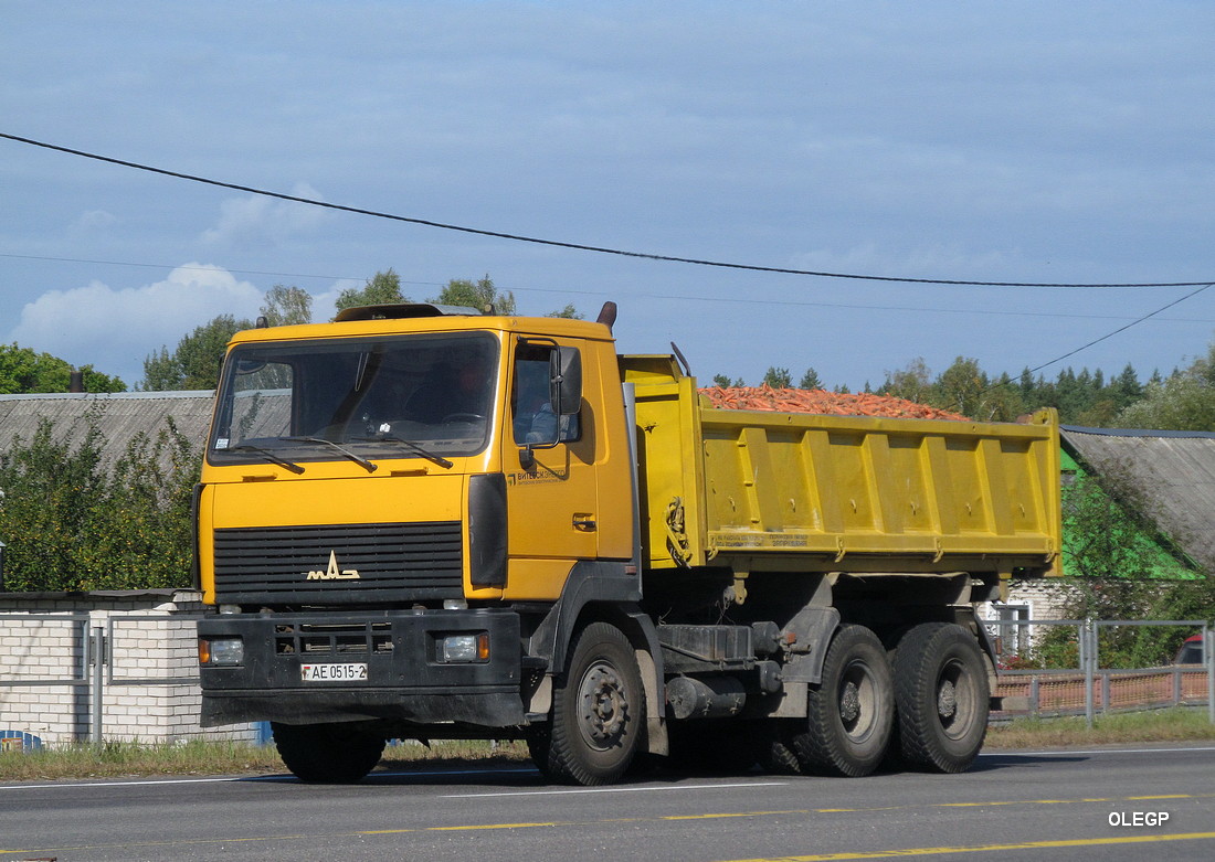 Витебская область, № АЕ 0515-2 — МАЗ-6501A8