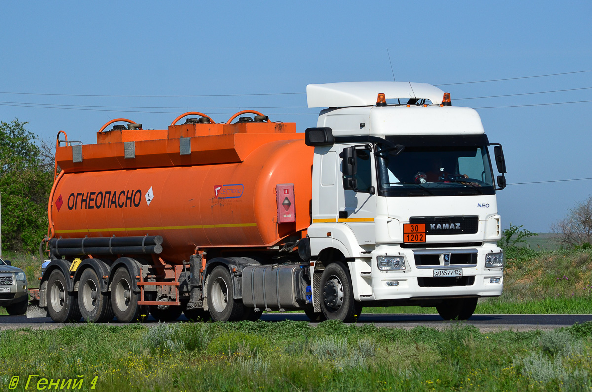 Краснодарский край, № А 065 УУ 123 — КамАЗ-5490-S5(87)
