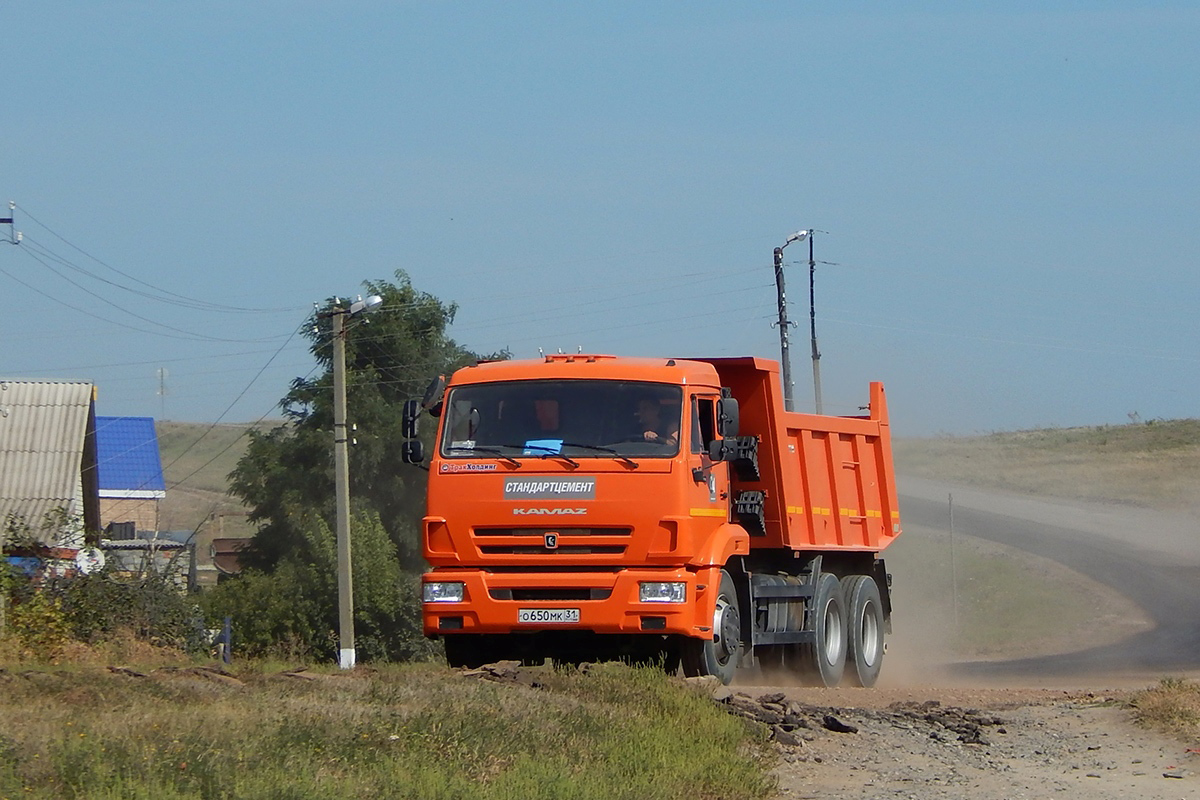 Белгородская область, № О 650 МК 31 — КамАЗ-65115-42