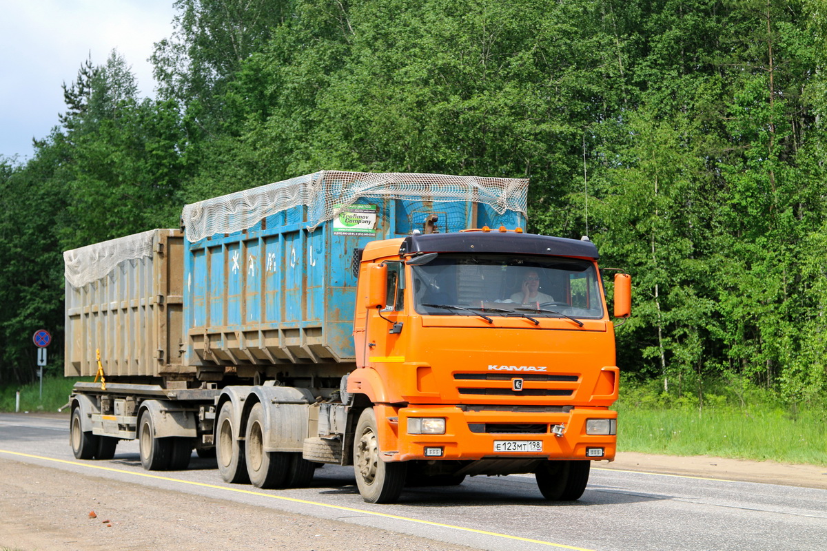 Санкт-Петербург, № Е 123 МТ 198 — КамАЗ-65115-D3(97)