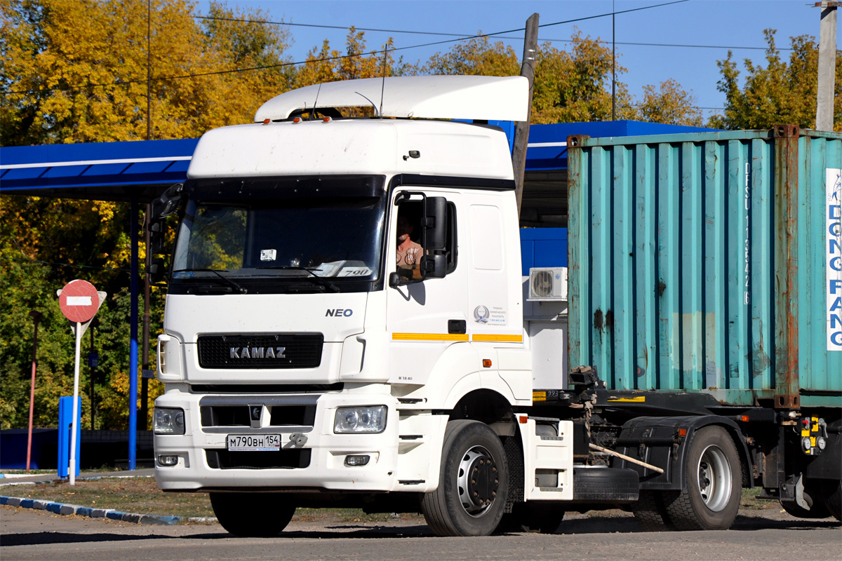 Новосибирская область, № М 790 ВН 154 — КамАЗ-5490-S5(87)