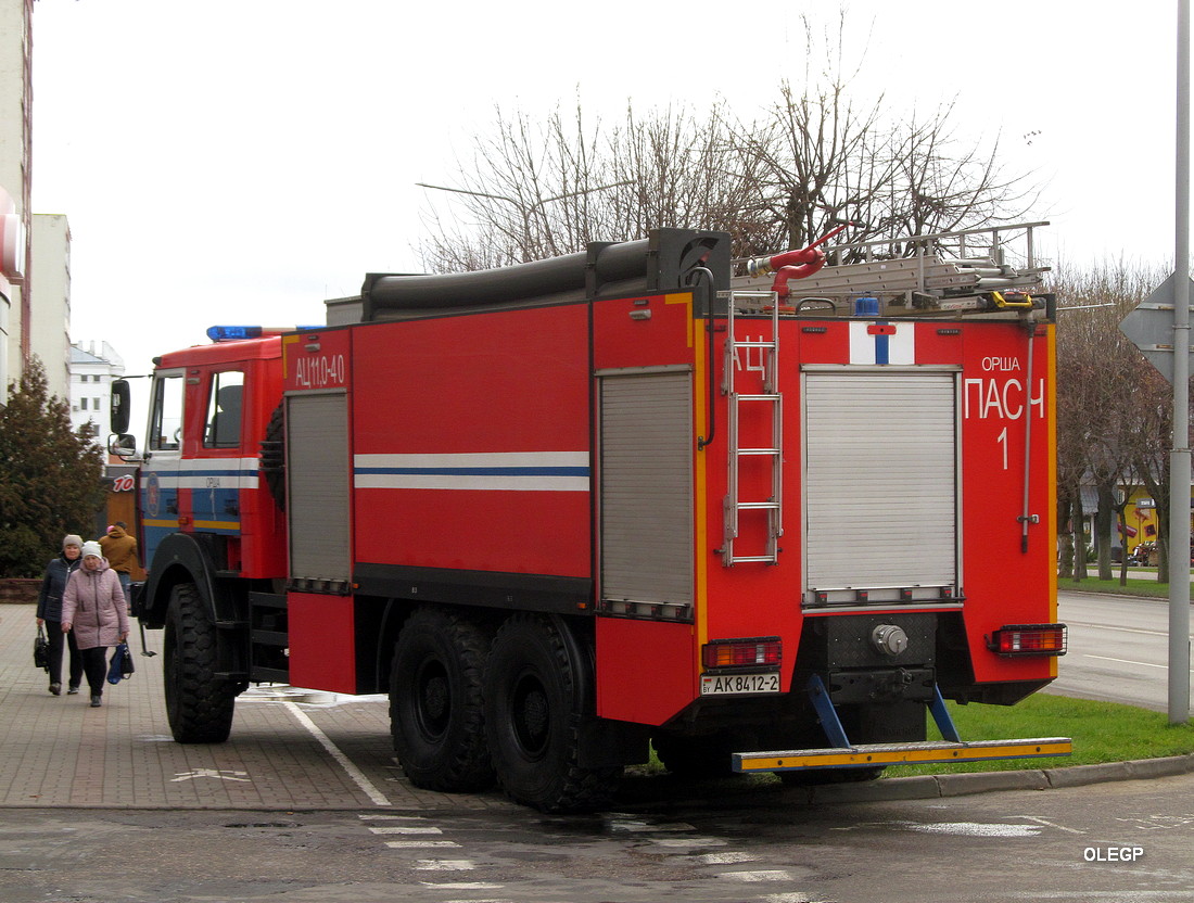 Витебская область, № АК 8412-2 — МАЗ-6317X9
