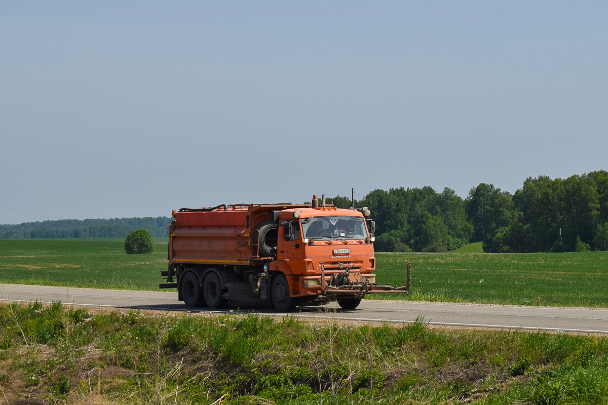 Алтайский край, № В 864 ХР 22 — КамАЗ-65115-A4(23)