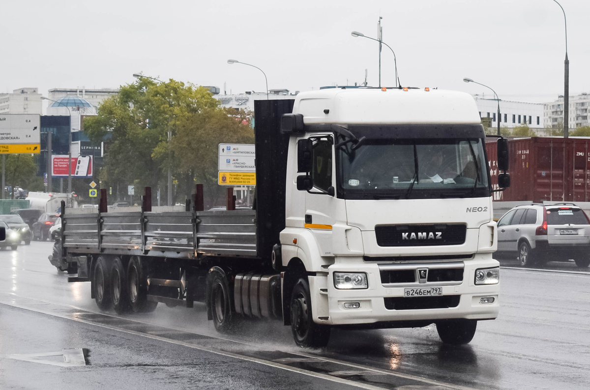 Москва, № В 246 ЕМ 797 — КамАЗ-5490-S5(87)
