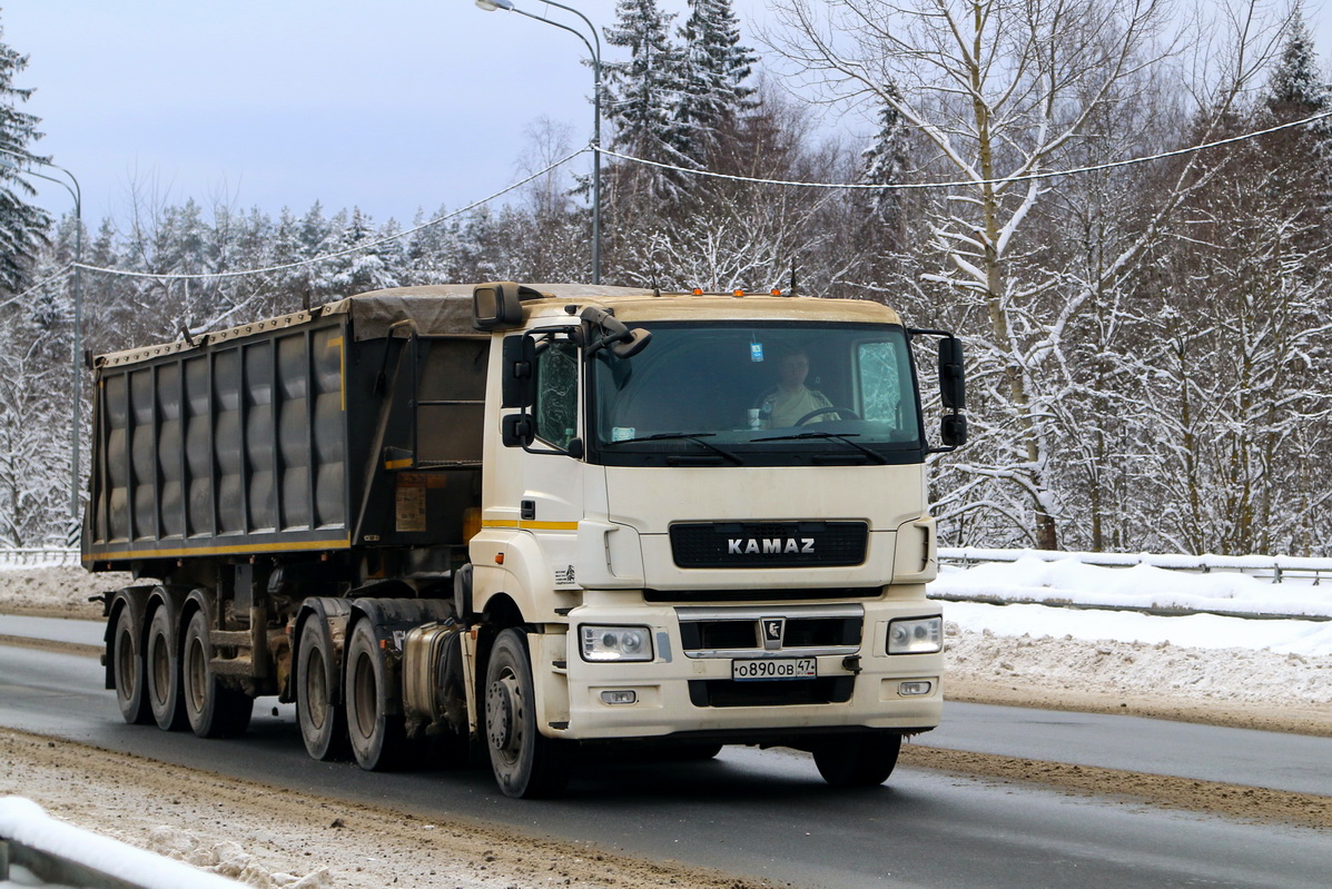 Ленинградская область, № О 890 ОВ 47 — КамАЗ-65206-T5(68)