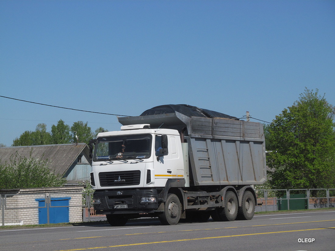 Витебская область, № АК 2858-2 — МАЗ-650108